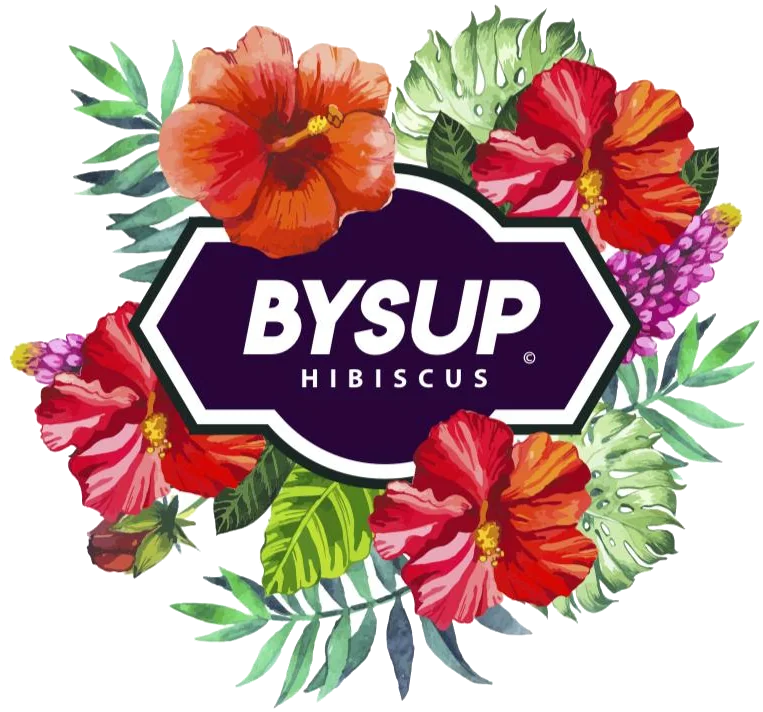 BYSUP Hibiscus